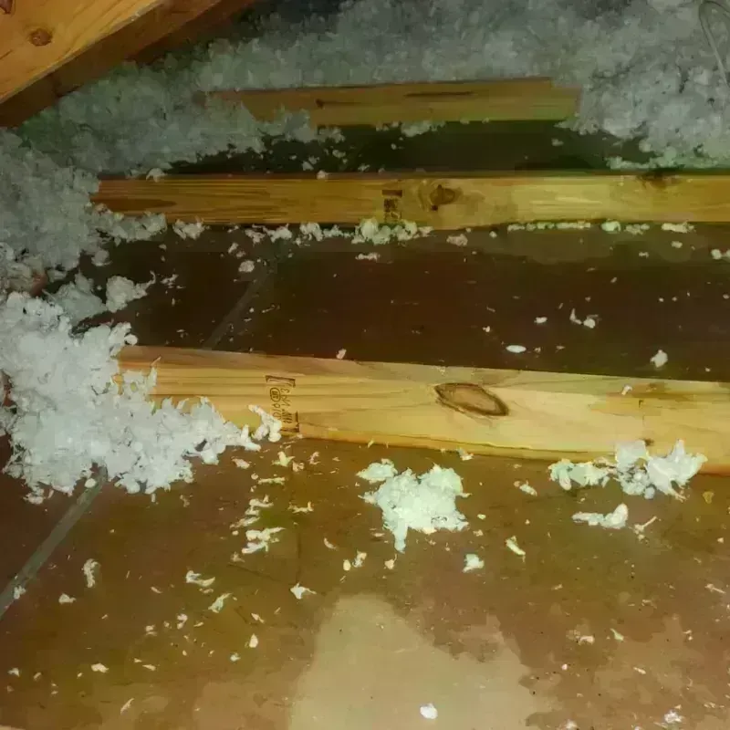 Attic Water Damage in Sheldon, IL