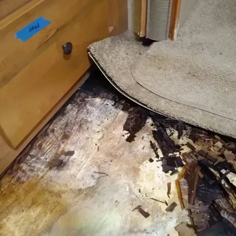 Best Wood Floor Water Damage Service in Sheldon, IL